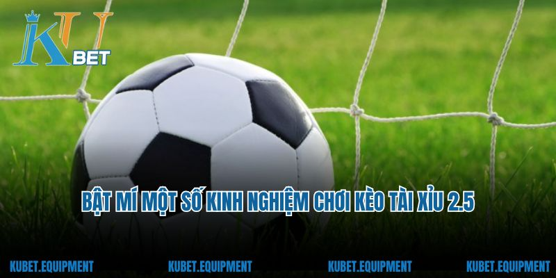 Bật mí một số kinh nghiệm chơi kèo tài xỉu 2.5