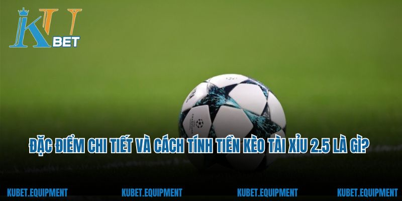 Đặc điểm chi tiết và cách tính tiền kèo tài xỉu 2.5 là gì?