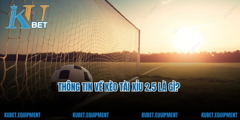 Thông tin về kèo tài xỉu 2.5 là gì?
